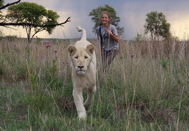 Resensi ‘Mia and the White Lion’: Singa Juga Punya Cinta Resensi ‘Mia and the White Lion’: Singa Juga Punya Cinta