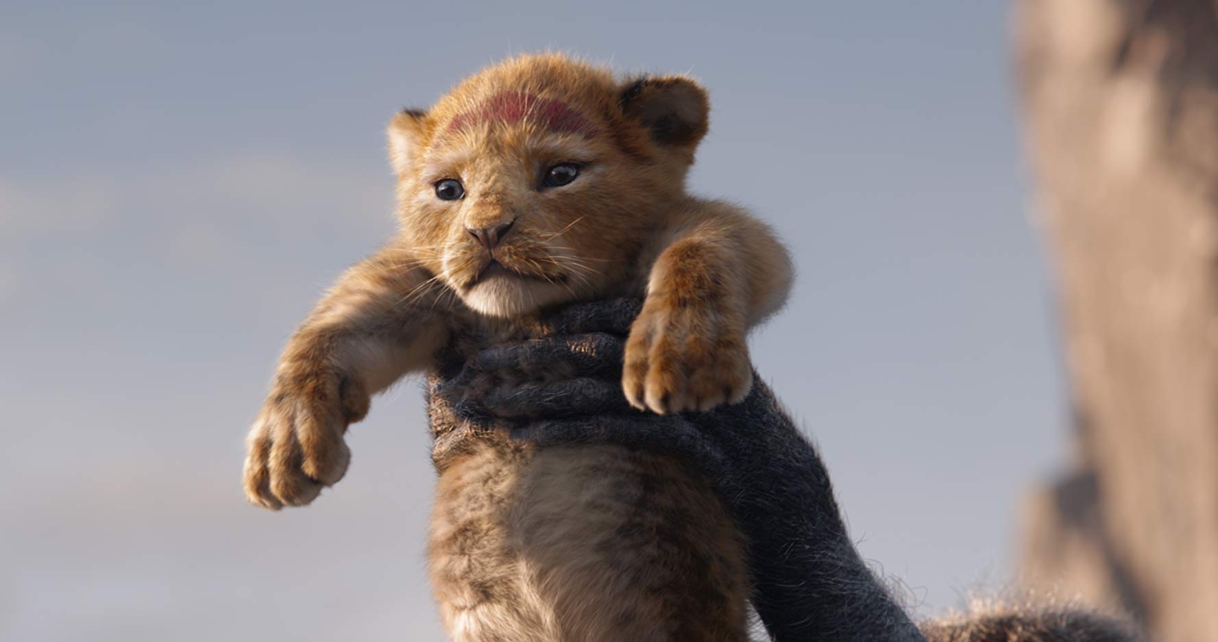 Rekor Baru 'The Lion King', Rajai Takhta Film Animasi Terlaris Sepanjang Masa Rekor Baru 'The Lion King', Rajai Takhta Film Animasi Terlaris Sepanjang Masa