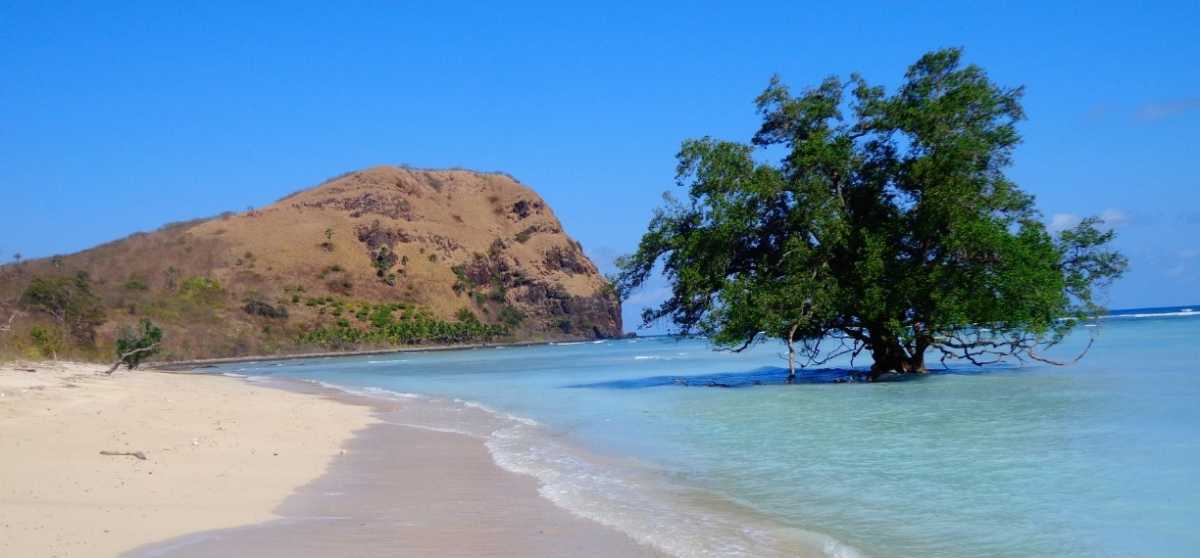 Oa dan Rako, Dua Pantai Cantik di Flores Timur Oa dan Rako, Dua Pantai Cantik di Flores Timur