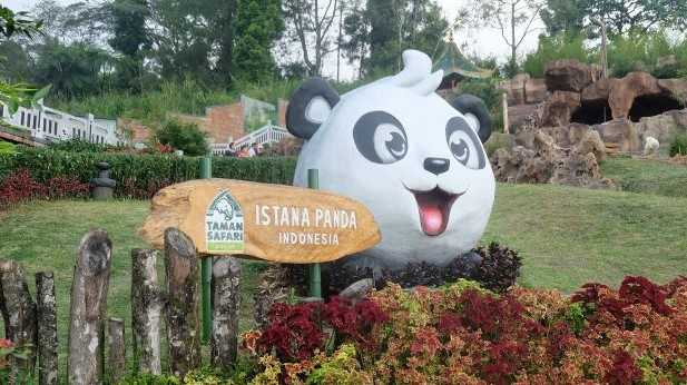 <i>Ngabuburit</i> ke Istana Panda di Taman Safari <i>Ngabuburit</i> ke Istana Panda di Taman Safari