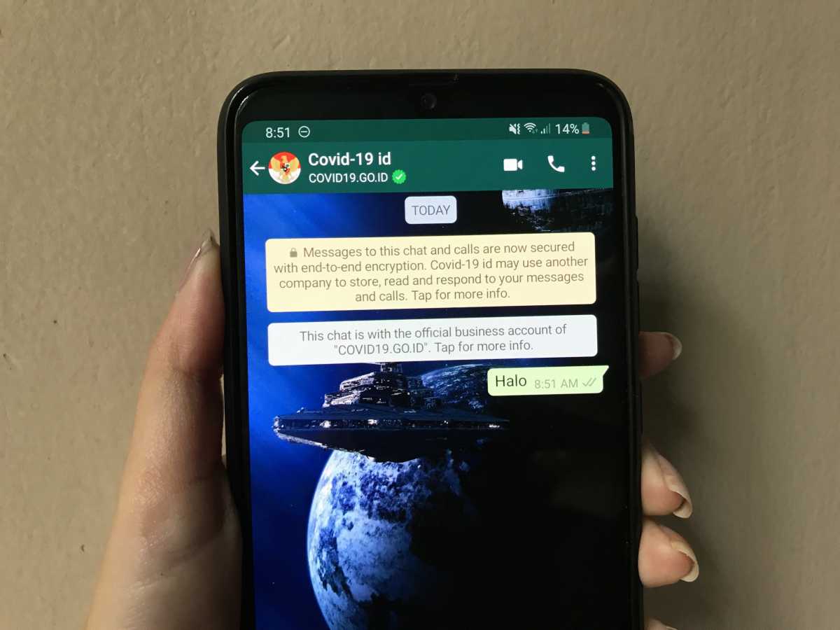 Rekor Baru WhatsApp Saat Malam Tahun Baru Rekor Baru WhatsApp Saat Malam Tahun Baru