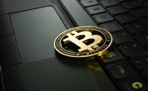 Pertumbuhan Investor Kripto di RI Melambat, Gara-gara Crypto Winter? Pertumbuhan Investor Kripto di RI Melambat, Gara-gara Crypto Winter?
