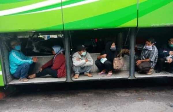 Bisnis Penyeludupan Pemudik, Sebuah Dilema Ditengah Pandemi Bisnis Penyeludupan Pemudik, Sebuah Dilema Ditengah Pandemi