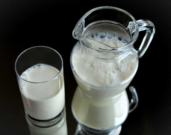 Minum Susu Beneran Bikin Gendut <i>Gak</i> Sih? Minum Susu Beneran Bikin Gendut <i>Gak</i> Sih?