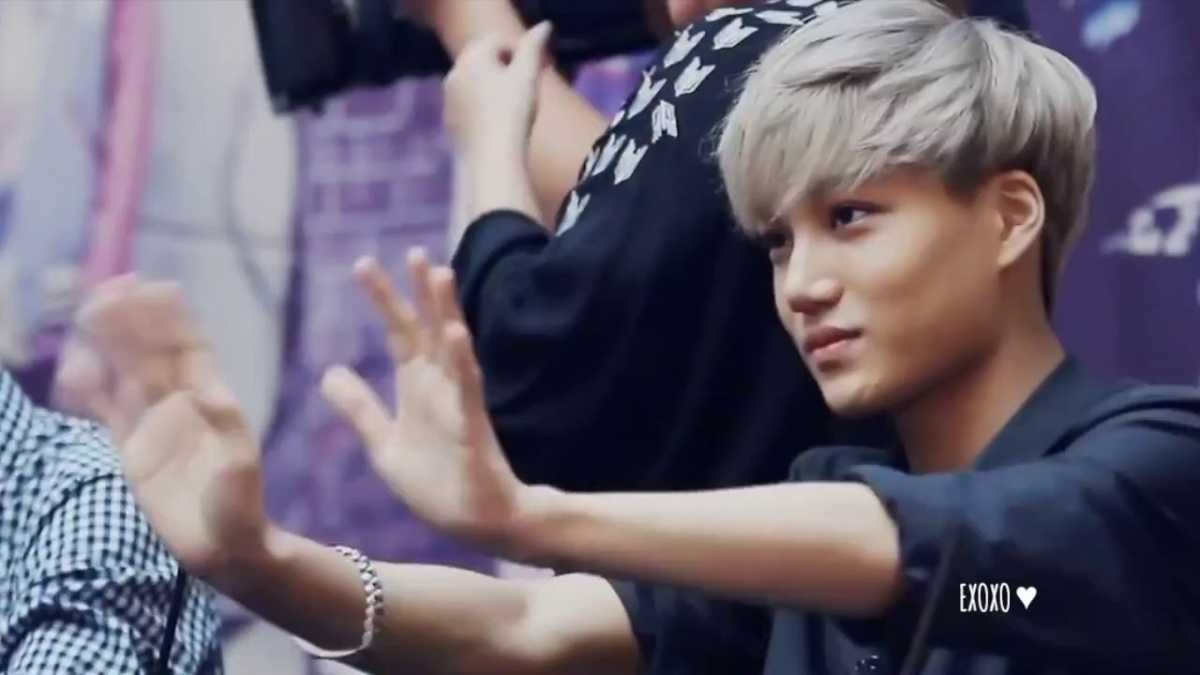 Panggilan EXO-L, Kai Ingin Rayakan Ultah Bareng Kamu Panggilan EXO-L, Kai Ingin Rayakan Ultah Bareng Kamu