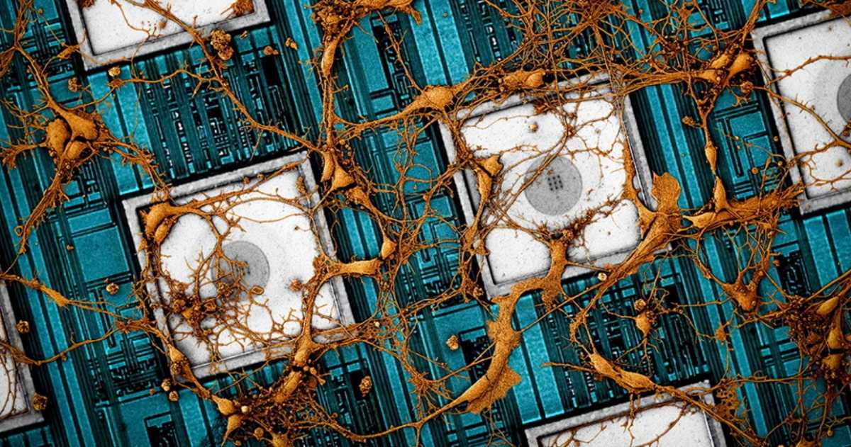 Samsung Akan Copy dan Paste Otak Manusia pada Chip Neuromorfik Samsung Akan Copy dan Paste Otak Manusia pada Chip Neuromorfik