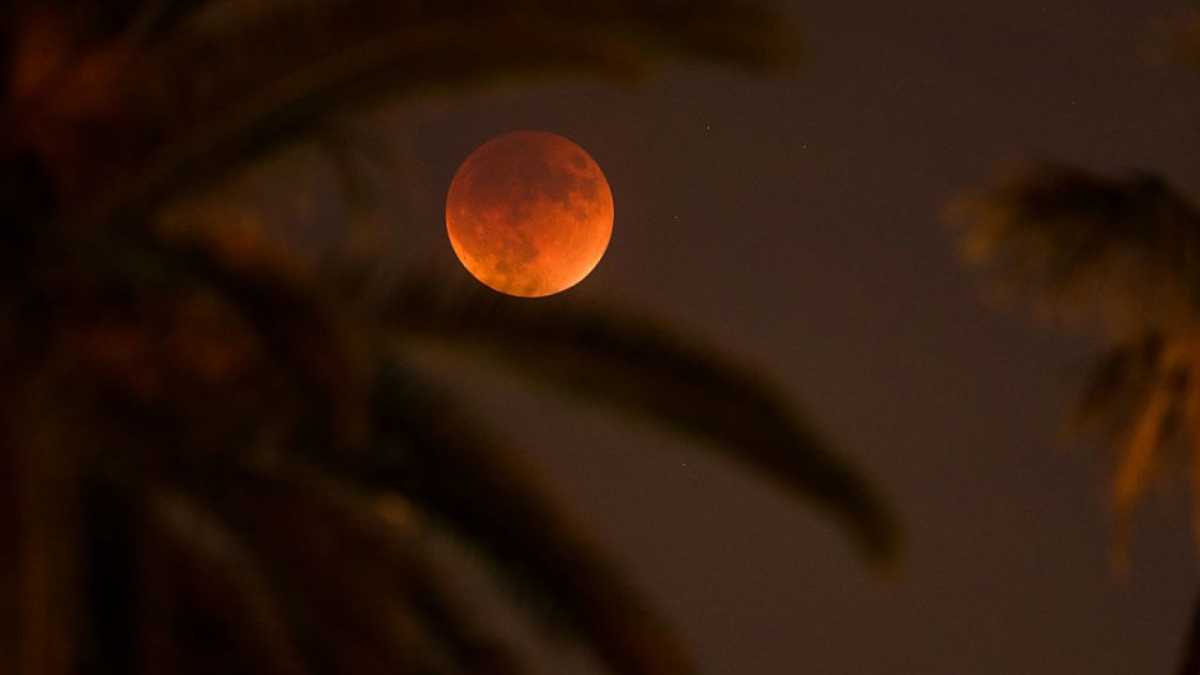 Siap-siap Bakal Ada Fenomena Gerhana Super Blood Wolf Moon Siap-siap Bakal Ada Fenomena Gerhana Super Blood Wolf Moon