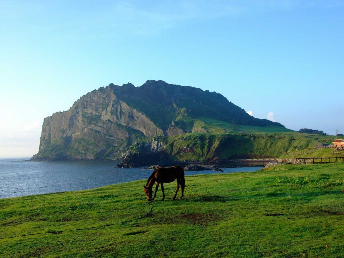 5 Pilihan Wisata Alam di Pulau Jeju  Korea Selatan Uzone