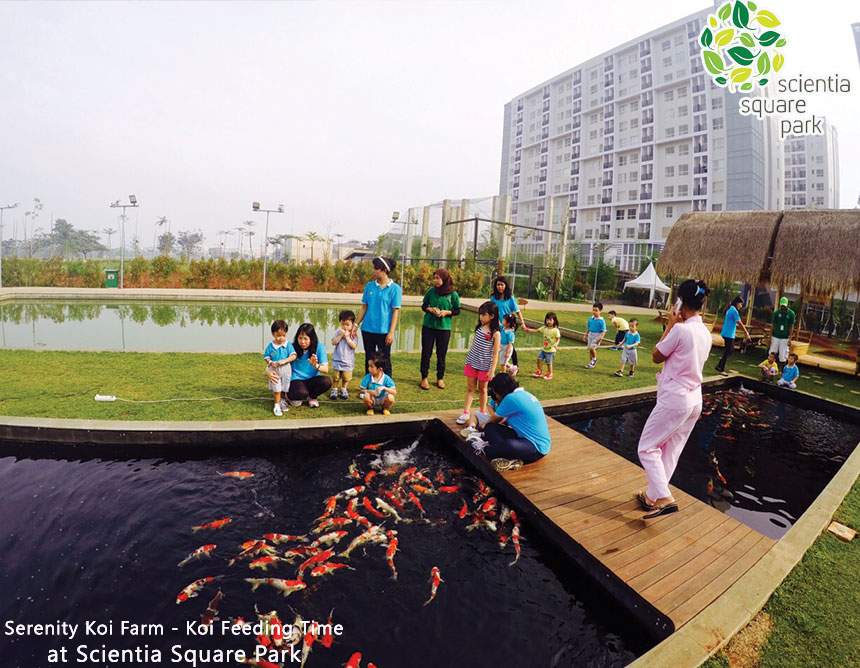 Mengisi Akhir Pekan Bersama Keluarga di Scientia Square Park Tangerang Mengisi Akhir Pekan Bersama Keluarga di Scientia Square Park Tangerang