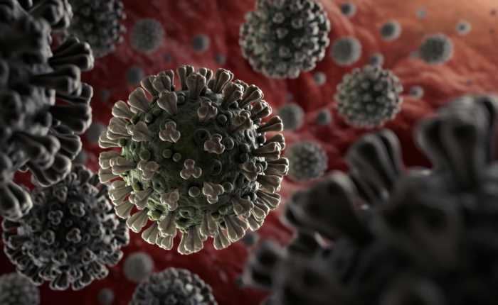 Virus Corona Sudah Melanda Semenjak 20 Ribu Tahun Silam Virus Corona Sudah Melanda Semenjak 20 Ribu Tahun Silam