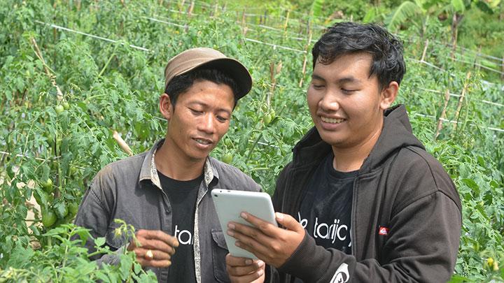 Tanggapan Pengamat Soal Kasus Tanijoy Tanggapan Pengamat Soal Kasus Tanijoy