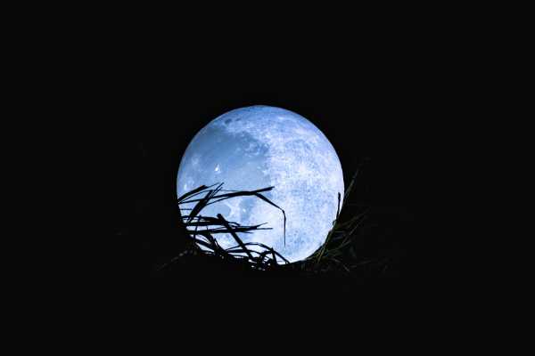 Blue Moon Terangi Langit di Minggu Malam, Kenapa Bisa Terjadi? Blue Moon Terangi Langit di Minggu Malam, Kenapa Bisa Terjadi?