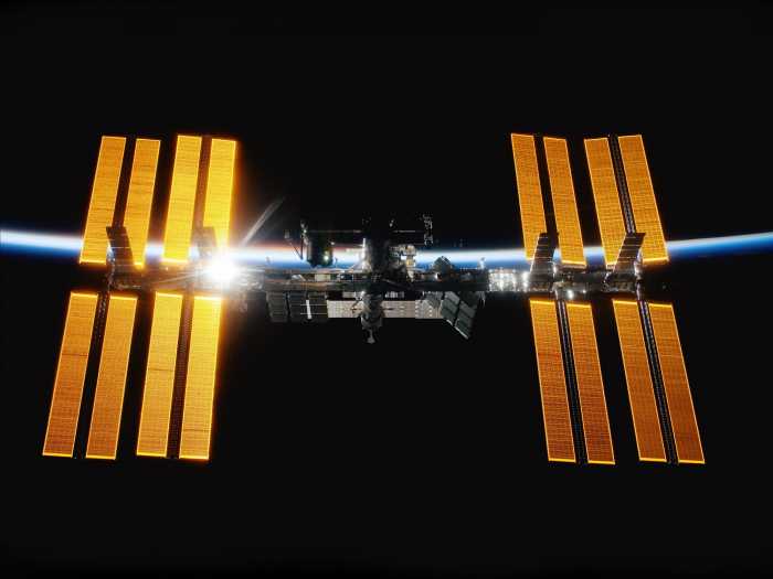NASA Pakai Sperma Tikus dari ISS untuk Buahi Telur di Bumi NASA Pakai Sperma Tikus dari ISS untuk Buahi Telur di Bumi