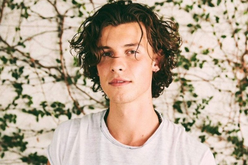 Elon Musk Sampai Shawn Mendes, Ikut Tren NFT Elon Musk Sampai Shawn Mendes, Ikut Tren NFT