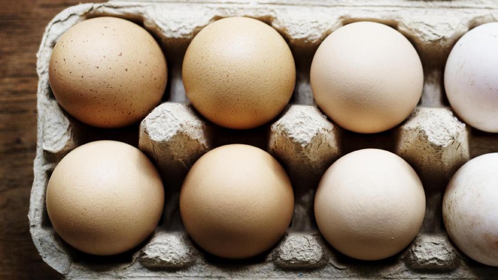 Kesalahan Kecil yang Berbahaya Saat Masak Telur Goreng Kesalahan Kecil yang Berbahaya Saat Masak Telur Goreng
