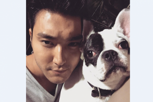 Choi Si-won tak akan ikut promosi album terbaru Super Junior Choi Si-won tak akan ikut promosi album terbaru Super Junior