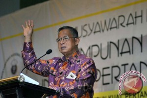 Rahasia Mengapa Kemiskinan dan Kesenjangan Turun Bertahap di Indonesia Rahasia Mengapa Kemiskinan dan Kesenjangan Turun Bertahap di Indonesia