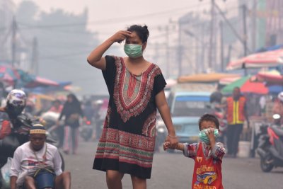 Jokowi Tetapkan Siaga Darurat di Riau Akibat Kebakaran Hutan Meluas Jokowi Tetapkan Siaga Darurat di Riau Akibat Kebakaran Hutan Meluas
