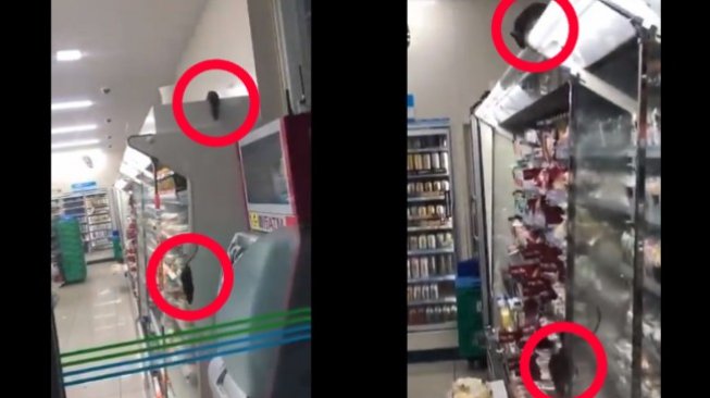 Video Tikus Berkeliaran di Gerainya Viral, FamilyMart Minta Maaf Video Tikus Berkeliaran di Gerainya Viral, FamilyMart Minta Maaf