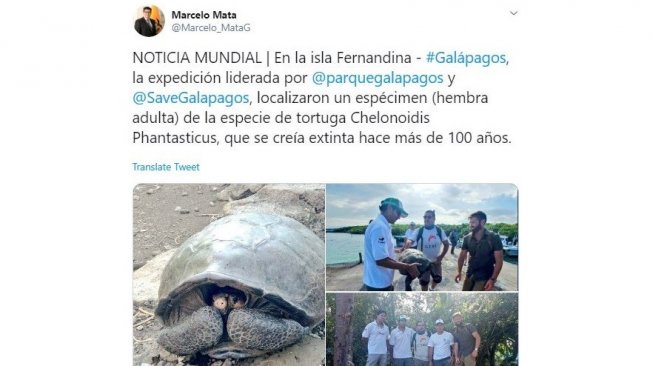 Punah 100 Tahun Lalu, Kura-kura Raksasa Kembali Ditemukan Punah 100 Tahun Lalu, Kura-kura Raksasa Kembali Ditemukan