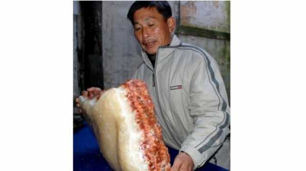 Temukan Batu Mirip Daging Babi, Pria Ini Jadi Miliader Temukan Batu Mirip Daging Babi, Pria Ini Jadi Miliader