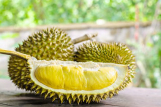 7 manfaat durian untuk kesehatan 7 manfaat durian untuk kesehatan