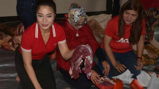 Cerita Lucu Nikita Willy Dikejar Sapi Kurban Idul Adha - Uzone