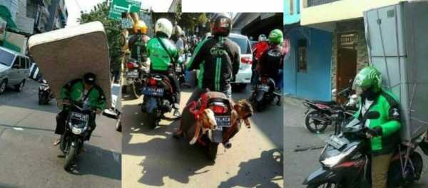 5 Potret Perjuangan Driver Ojek Online Antar Barang Tak Lazim 5 Potret Perjuangan Driver Ojek Online Antar Barang Tak Lazim