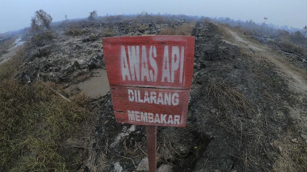 BNPB: Fenomena Langit Merah Jambi Disebabkan Hamburan Mie BNPB: Fenomena Langit Merah Jambi Disebabkan Hamburan Mie