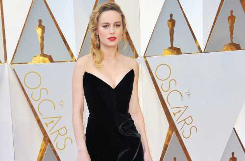 Captain Marvel Punya Peliharaan Kucing Brie Larson Alergi Captain Marvel Punya Peliharaan Kucing Brie Larson Alergi
