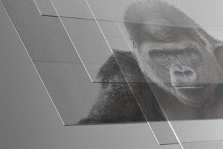 Apple Tambah Investasi Rp639 Miliar untuk Pengembangan Gorilla Glass Apple Tambah Investasi Rp639 Miliar untuk Pengembangan Gorilla Glass