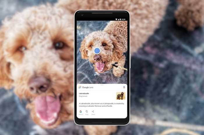 Keren! Google Lens Kini Bisa Kenali 1 Miliar Item Keren! Google Lens Kini Bisa Kenali 1 Miliar Item