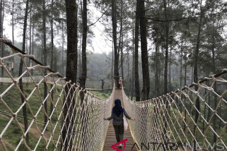Objek Wisata Digital yang Diburu Para Milenial Objek Wisata Digital yang Diburu Para Milenial