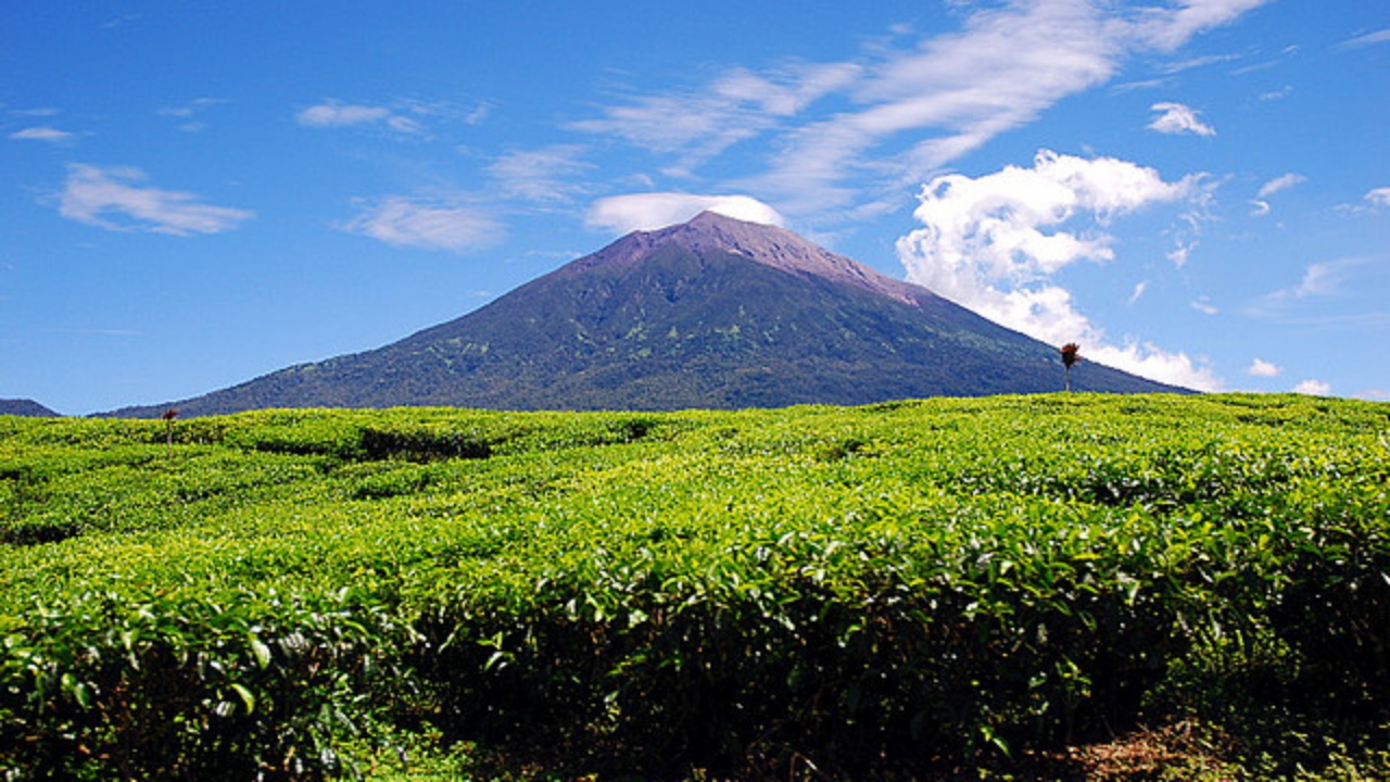 Mahasiswa Tolak Pergantian Nama Gunung Kerinci Jadi Joko Widodo Mahasiswa Tolak Pergantian Nama Gunung Kerinci Jadi Joko Widodo
