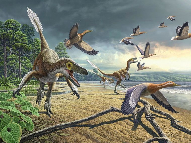Ternyata Penyebab Dinosaurus Punah Bukan Hanya Meteor, Tapi Juga Ada Bukti Lain Ternyata Penyebab Dinosaurus Punah Bukan Hanya Meteor, Tapi Juga Ada Bukti Lain