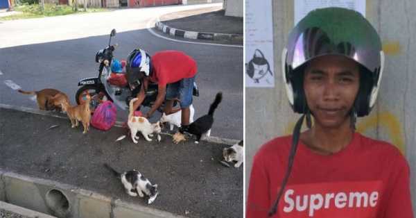 Tukang Parkir Ini Rela Menghabiskan Gajinya untuk Memberi Makan Anjing dan Kucing Liar Tukang Parkir Ini Rela Menghabiskan Gajinya untuk Memberi Makan Anjing dan Kucing Liar