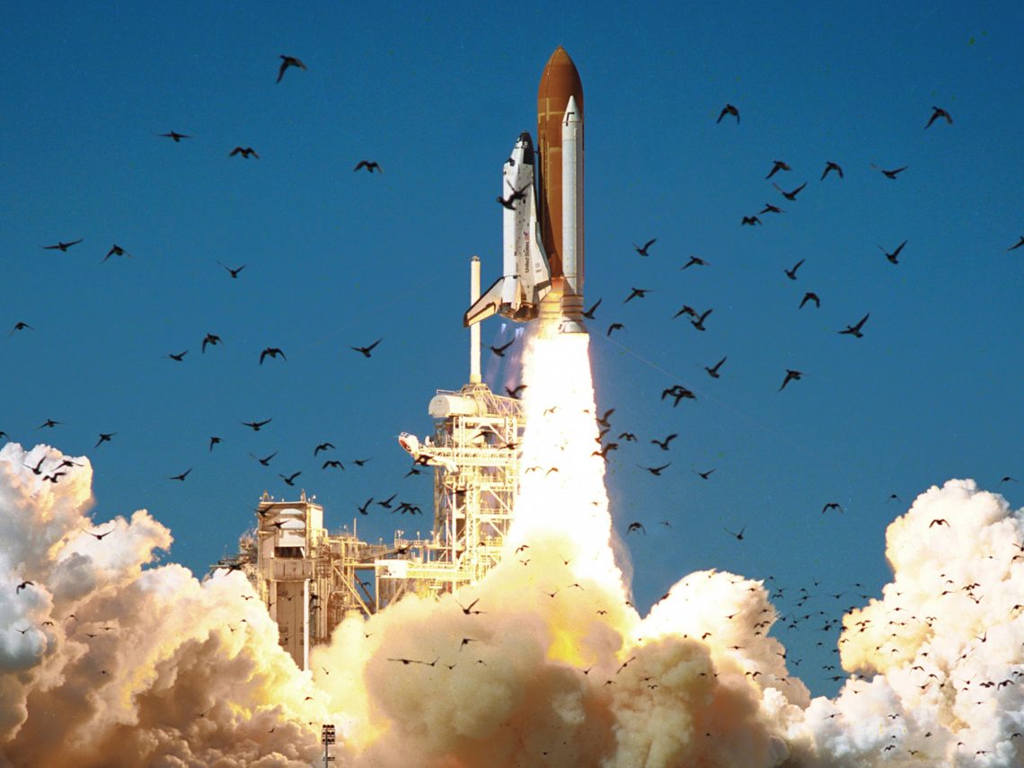 Waduh! Roket SpaceX Bisa Terbakar Gara-gara Kotoran Burung Waduh! Roket SpaceX Bisa Terbakar Gara-gara Kotoran Burung