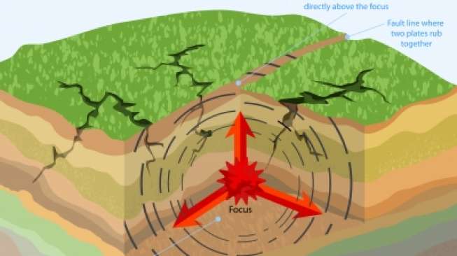 Gempa 6.3 SR Guncang Bandara Prayan Lombok, Penumpang Berhamburan Gempa 6.3 SR Guncang Bandara Prayan Lombok, Penumpang Berhamburan
