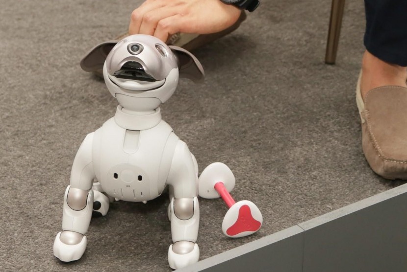  Robot  Aibo Bakal Jadi Gadget Paling Lucu  di 2022 Uzone