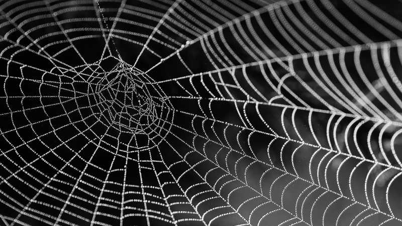Gambar Jaring Laba2 Spider Man Gambar Spiderman Gambar Jaring Laba2 Spider Man Gambar Spiderman